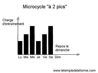 microcycle à 2 pics