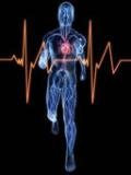  Estimation de la fréquence cardiaque maximale