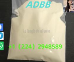 Adbb, 5cladba, 5cladb, Adb-butinaca, Precursor Raw Materials China Supplier,