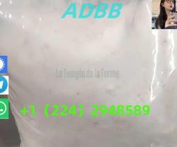 5cladba precursor powder 5cl adbb 5CL-ADB-A 6CL-ADB-A 4fadb